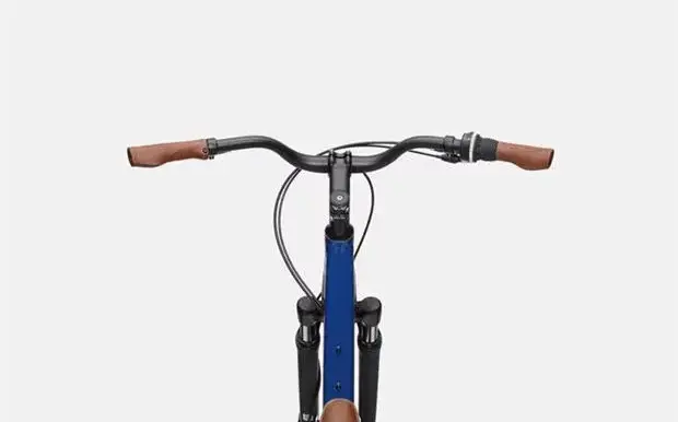 Bicycle with riser handlebars